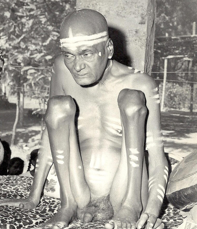 Bhalchandra Maharaj